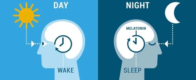 Circadian Rhythm Sleep Reset